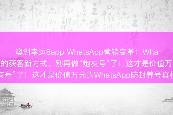 澳洲幸運8app WhatsApp營銷變革:WhatsApp磐石系統(tǒng)外貿(mào)老板的獲客新方式。別再做“炮灰號”了!這才是價值萬元的WhatsApp防封養(yǎng)號真相