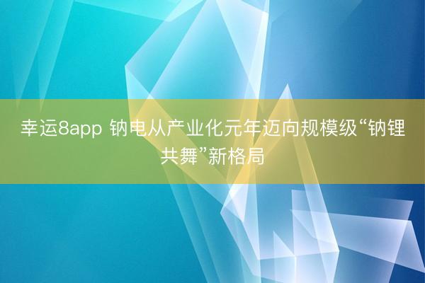 幸運8app 鈉電從產業化元年邁向規模級“鈉鋰共舞”新格局